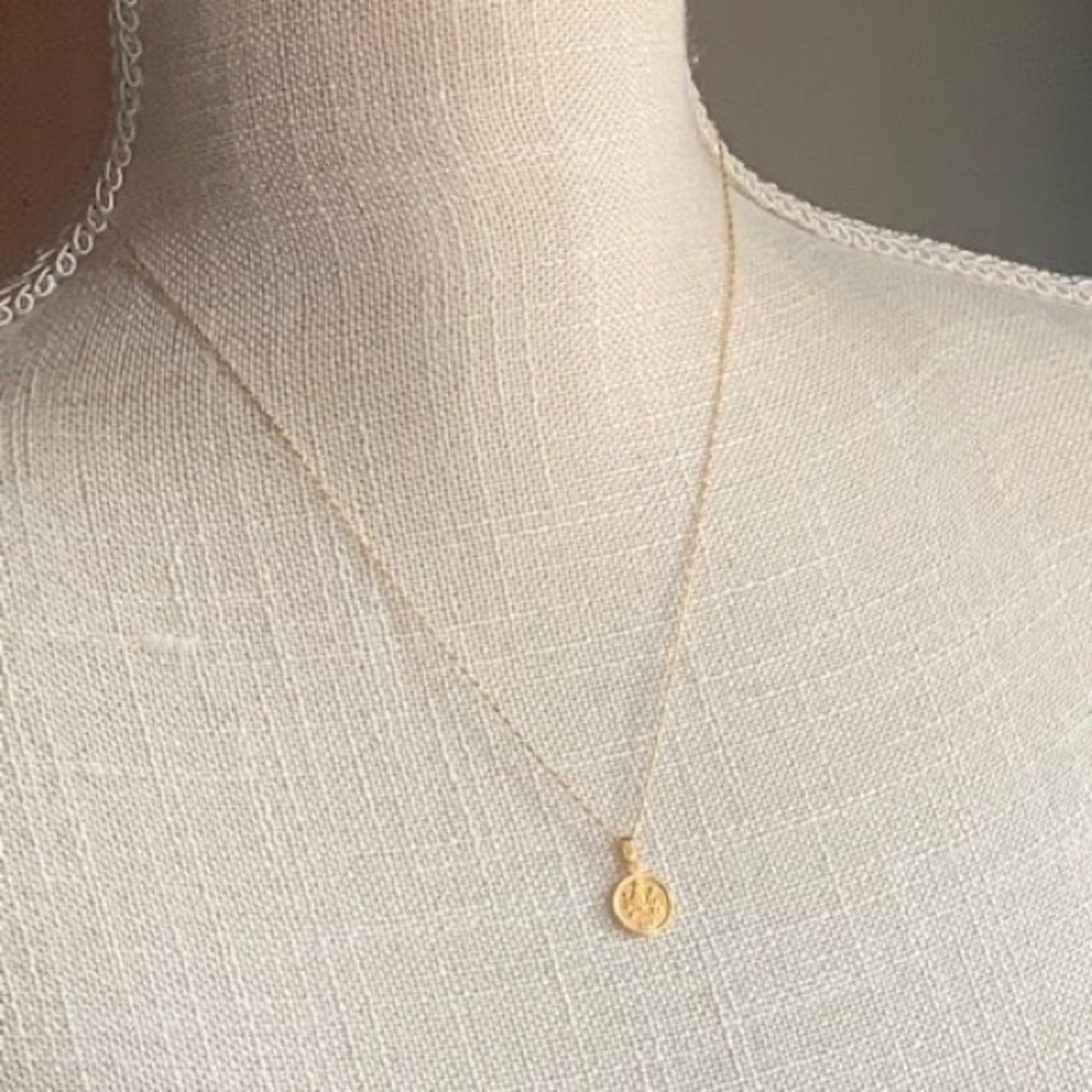 Tiny Zodiac Coin Necklace